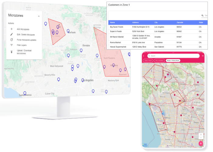 Microzones and sales territories (1).png